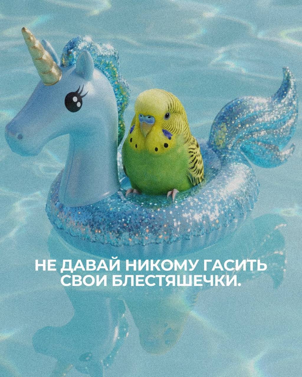 Медиа поста